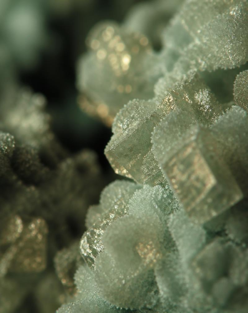 Crystallised peptide powder under laboratory light